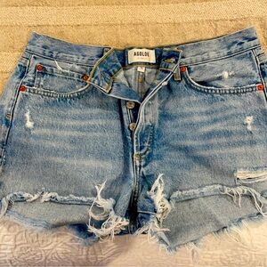 Agolde Parker Vintage Cut Off Short in Swapmeet
